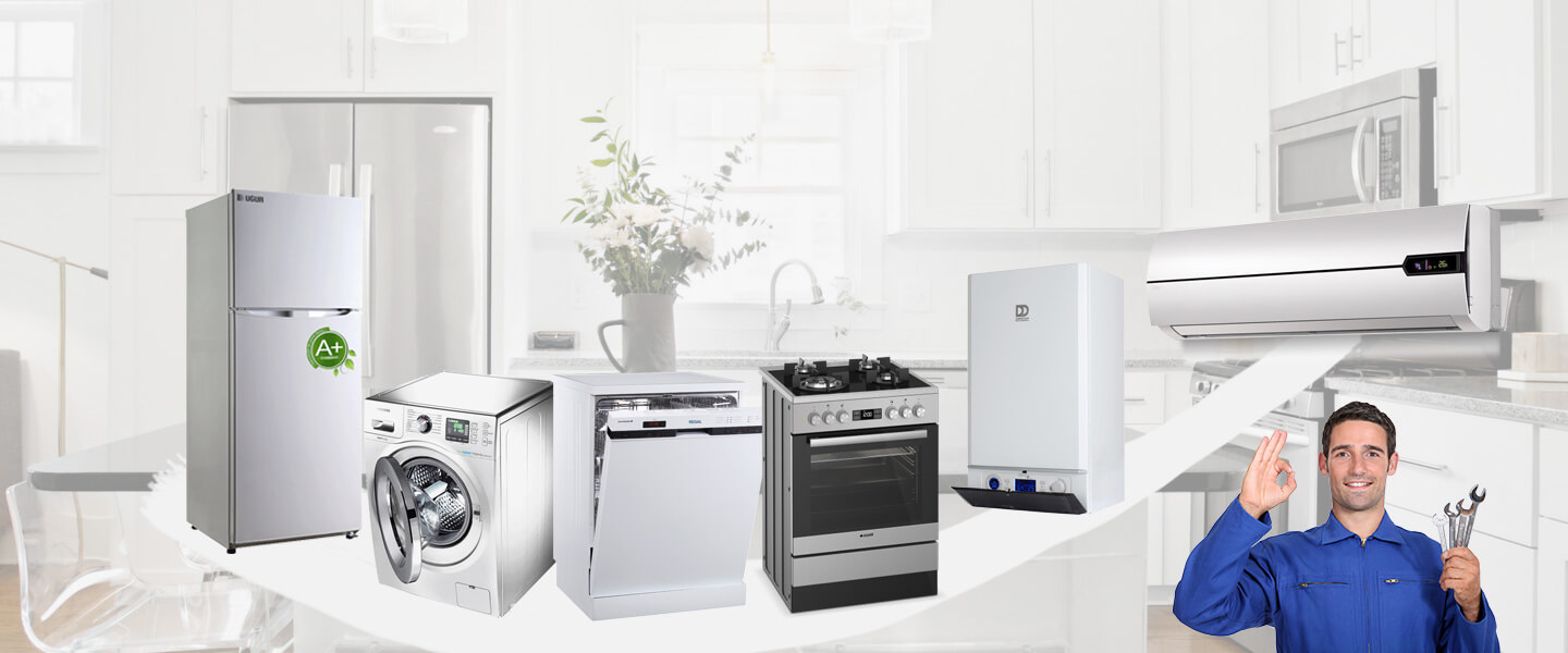 Hocalar Warmhaus Servisi